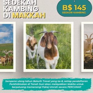 Korban Kambing Makkah
